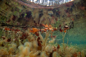 bron, beek, koud, helder, herfstbladeren in water