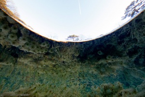Heelsumse Beek op Wolfhezerheide, helder water, onderwaterfotografie, blikonderwater, blik onder water