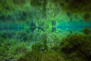 helder water, onderwaterfotografie, zuurstof, Alme, Almequelle