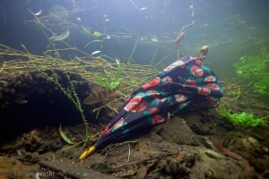 gevonden paraplu, gevonden voorwerpen, afval, onderwaterfotografe